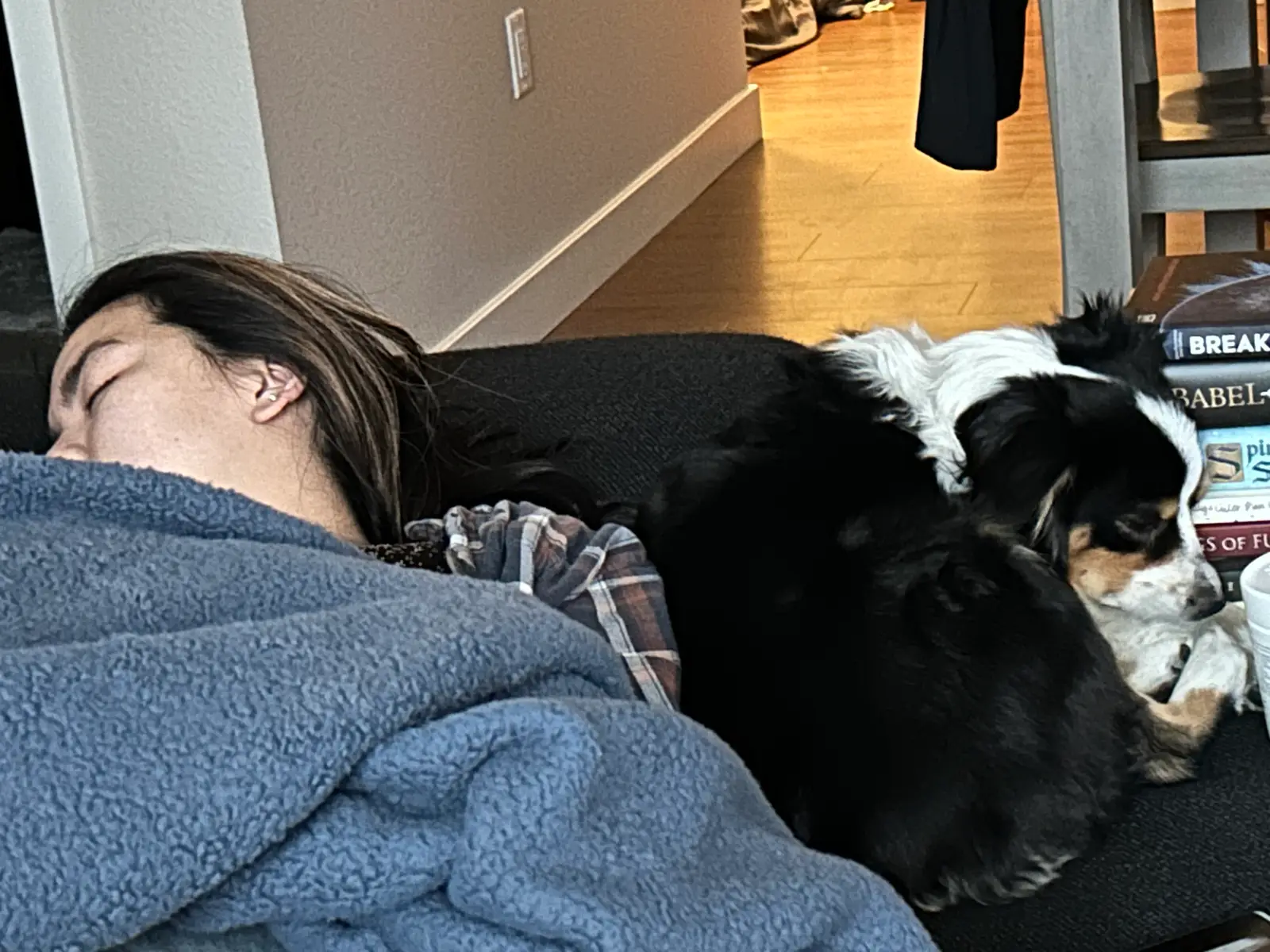 The Couch