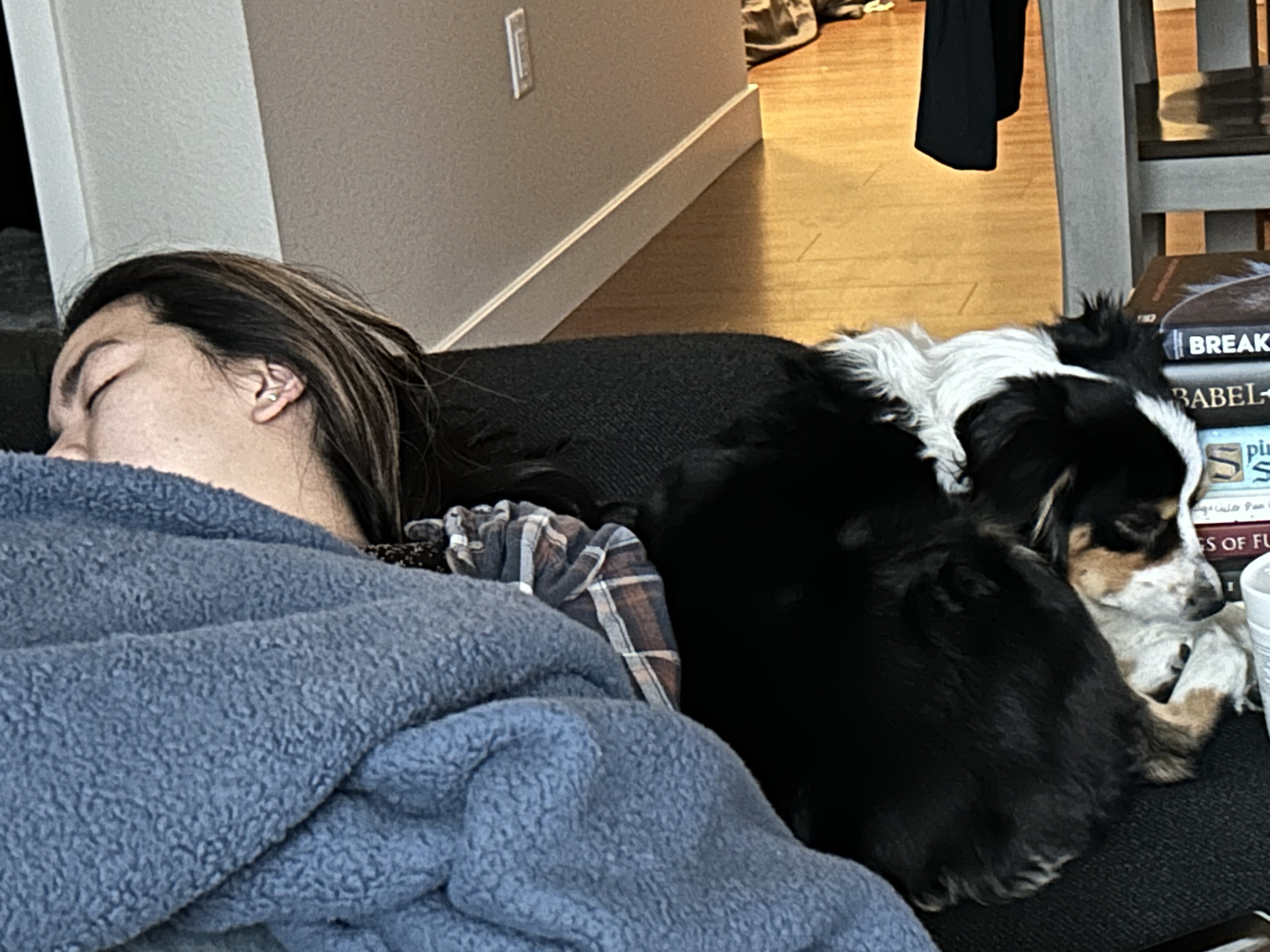 The Couch